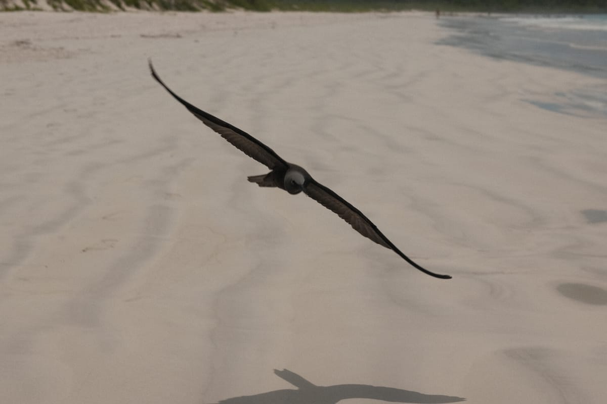 Islas Galápagos, Ecuador