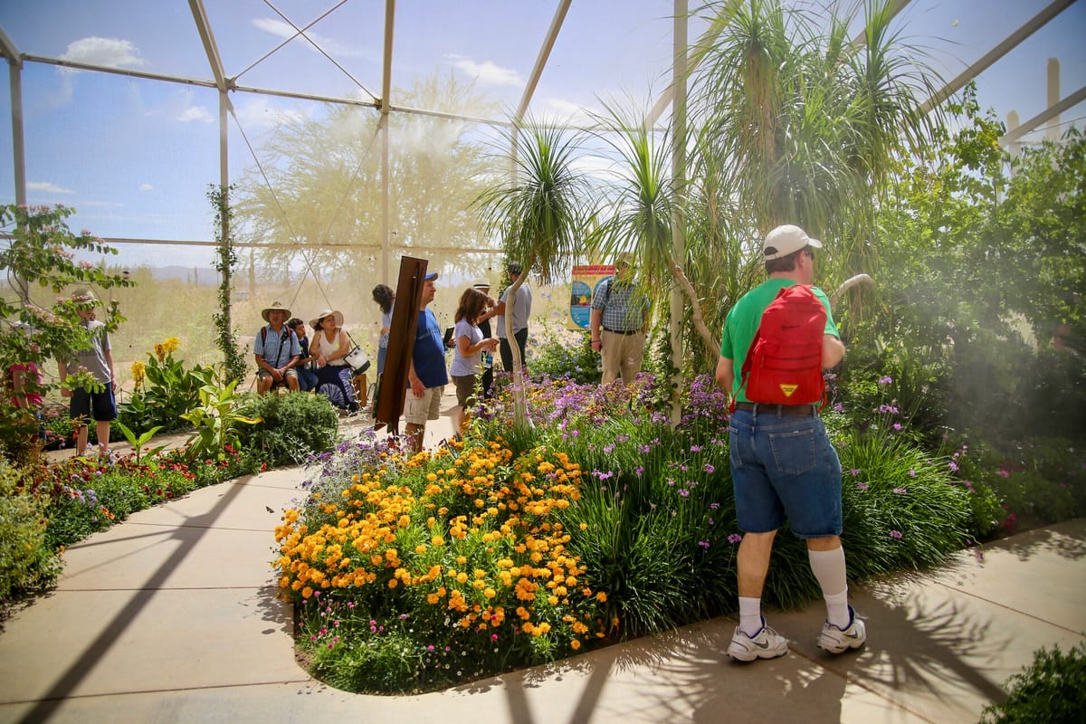 Desert Botanical Garden, AZ
