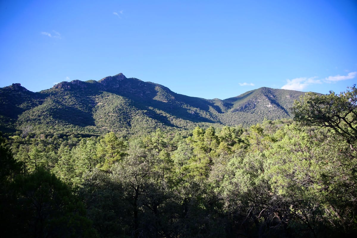 Huachuca City, AZ